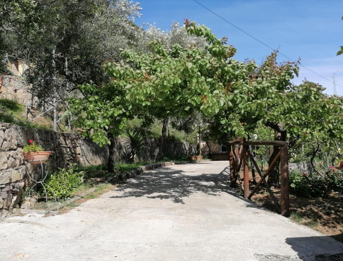 Villa Incanto B&B Caprioli Dış mekan fotoğraf