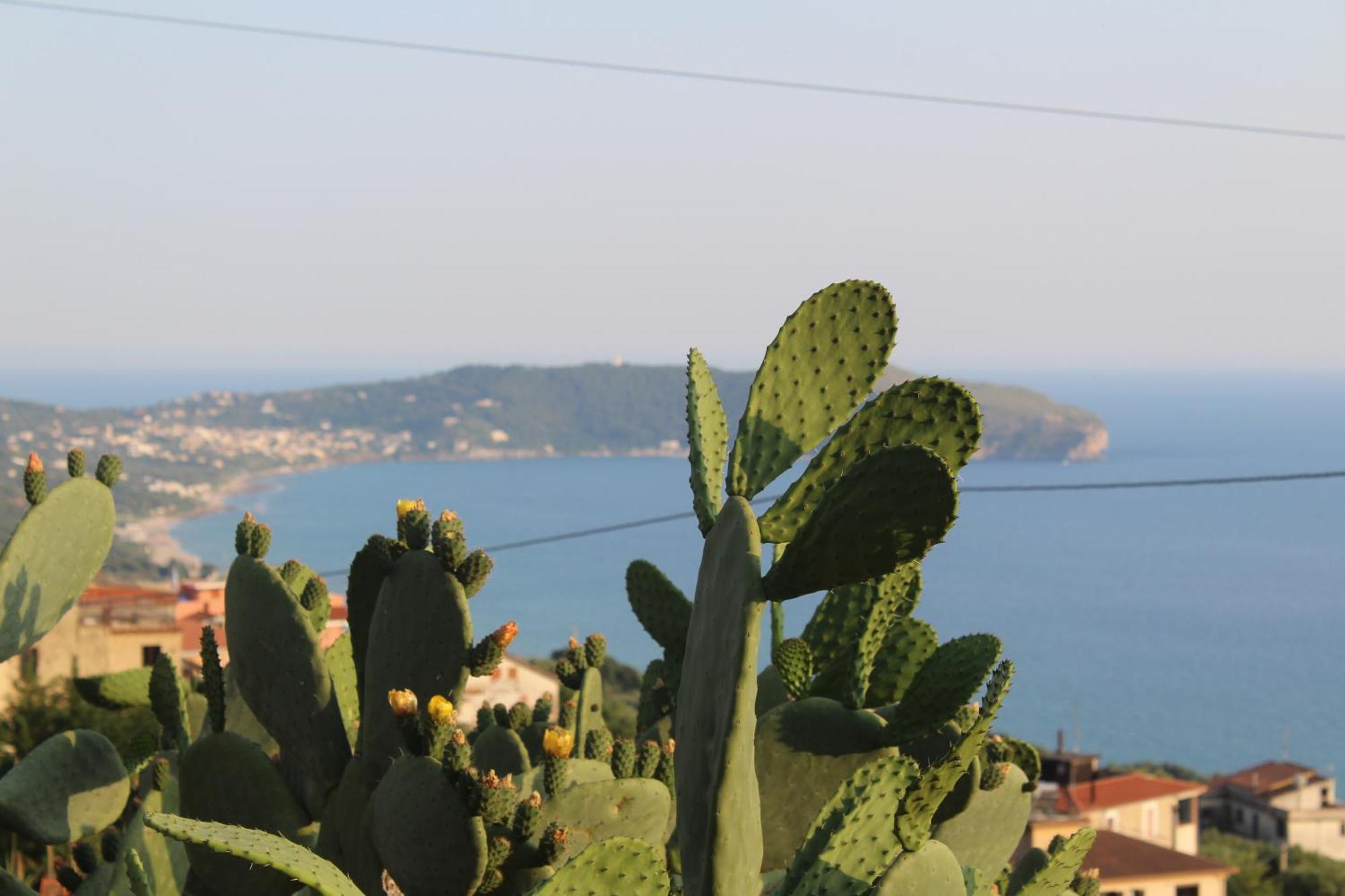 Villa Incanto B&B Caprioli Dış mekan fotoğraf